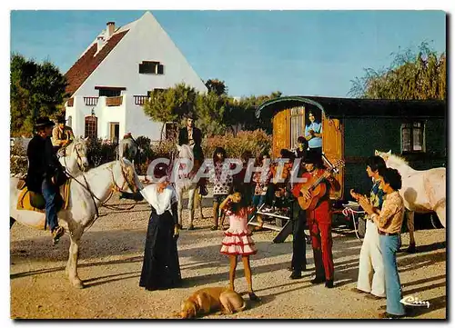 Cartes postales moderne En Camargue Scene Folklorique Gitans Folklore