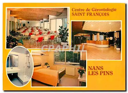 Cartes postales moderne Centre de Gerontologie Saint Francois Medecine Convalescence specialisee