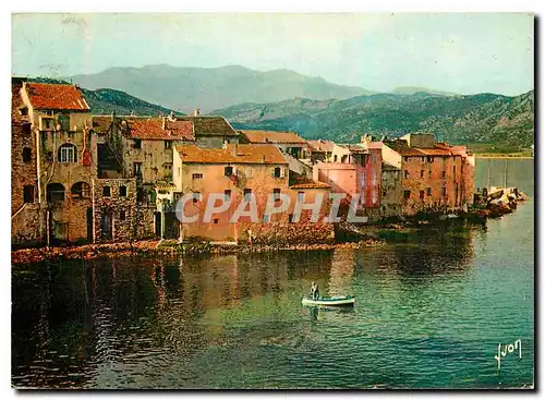 Cartes postales moderne Couleurs et Lumiere de France La Corse Oasis de Beaute Saint Florent Village Bati a fleur d'eau