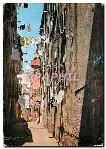 Cartes postales moderne La Corse Inoubliable vieille rue