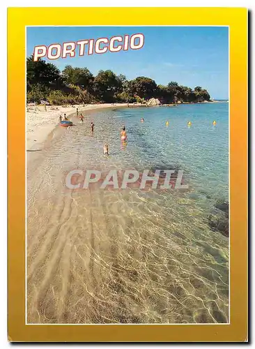 Cartes postales moderne Souvenir de Corse Porticcio