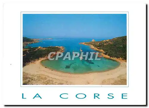 Cartes postales moderne La Corse Anse de Conca