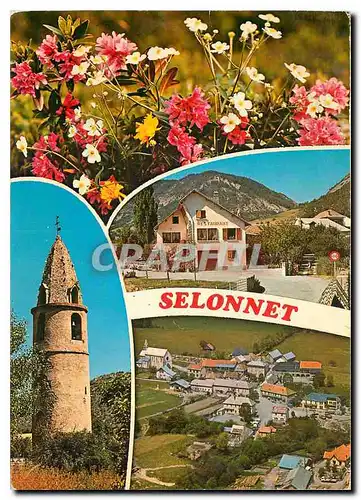 Cartes postales moderne Selonnet alt 1060 m (alpes de Hautes Provence)