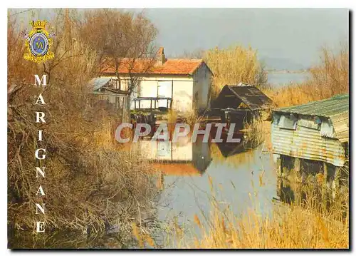 Moderne Karte Marignane (Bouches du Rhone) Cabane de pecheur quartier de l'Esteau sur l'Etang de Bolmmon