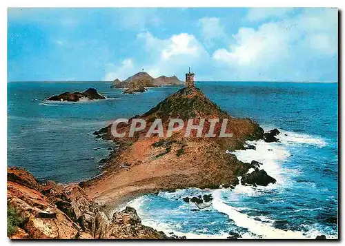 Cartes postales moderne Corse Ile de Beaute Environs d'Ajaccio