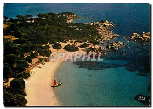 Cartes postales moderne Charmes et Couleurs de la Corse Porto Vecchio La plage de Palombaggia