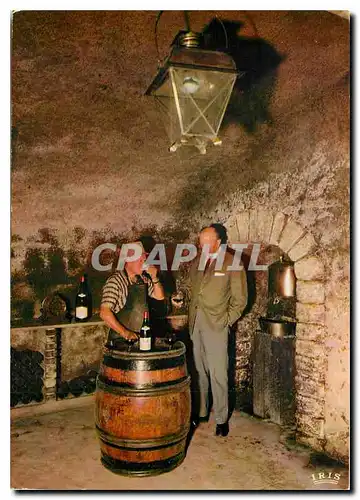 Cartes postales moderne Gevrey Chambertin (Cote d'Or) Caveau de degustation du domaine Pierre Damoy