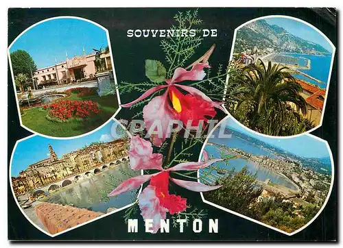 Cartes postales moderne Menton Casini Panorama du Port