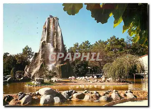 Moderne Karte Zoo de la Palmlyre Le rocher et les Flamants roses