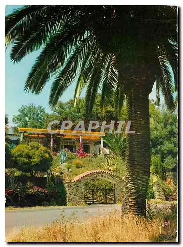 Moderne Karte Couleurs et Lumiere de France la Cote d'Azur miracle de la nature villa fleurie sur la cote