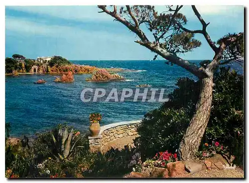 Cartes postales moderne Reflets de la Cote d'Azur sur les bords de la corniche d'or