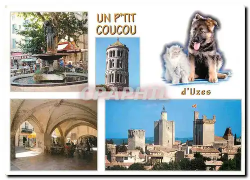 Cartes postales moderne Uzes (Gard) Duche de Franche