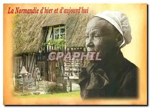 Cartes postales moderne Chaumiere et paysanne Normande