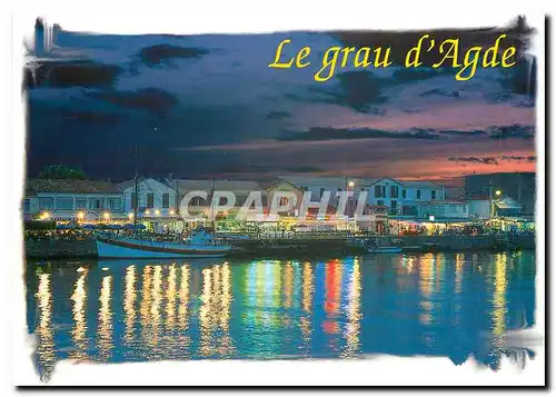 Cartes postales moderne Littoral Languedocien Le Grau d'Agde les Berges de l'Herault