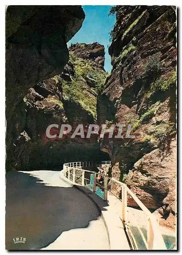 Cartes postales moderne Reflets de la Cote d'Azur Excursion des Gorges du Cians et de Daluis dans les Clues