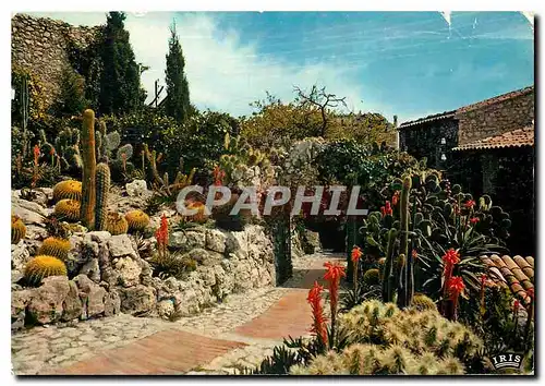 Cartes postales moderne La Cote d'Azur French Riviera Eze Village le jardin exotique