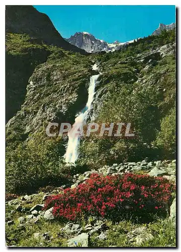 Moderne Karte Rhododendrons et cascade aiguilles des Marmes (3057 m)