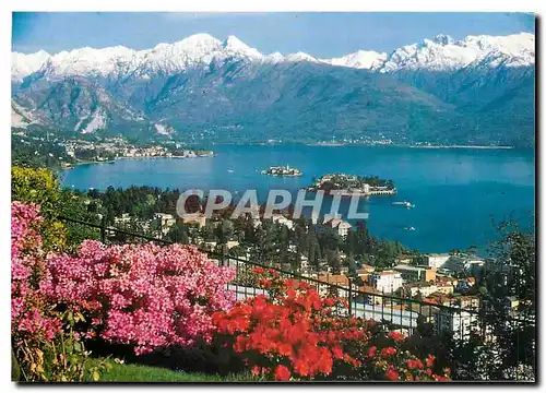 Cartes postales moderne Stresa Lac Majeur Vue generale