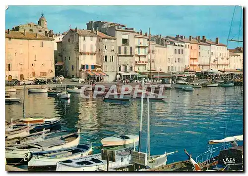 Moderne Karte La Cote d'Azur French Riviera Saint Tropez (Var) Le Quai