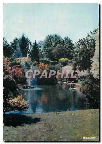 Cartes postales moderne Vichy (Allier) Reine des Villes d'Eaux dans les grands parcs le bassin des Cygnes