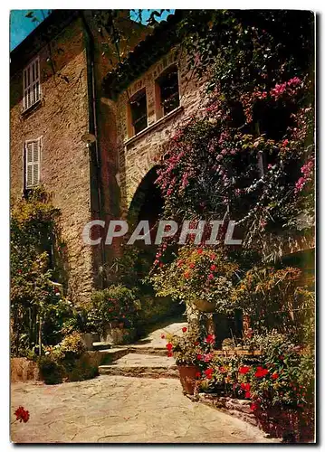 Cartes postales moderne La Cote d'Azur Varoise Bormes les Mimosas Fleuris de France Lou Poulid Cantoun