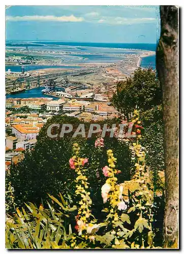 Cartes postales moderne Sete Vue generale