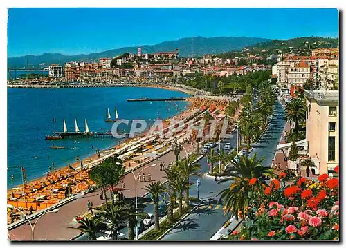 Cartes postales moderne La Cote d'Azur Cannes (A M) La Croisette et le Suraquet vus du Carlton