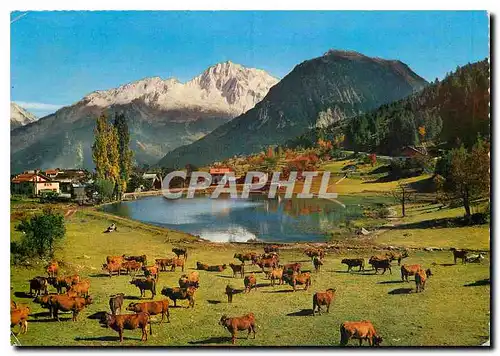 Cartes postales moderne Sur la route de Courchevel Paturage au bord du Lac du Praz de St Bon