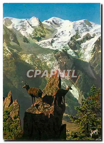 Cartes postales moderne Chamonix aux Aguets