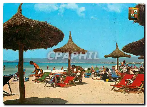 Cartes postales moderne Mallorca Arenal Vue partielle de la plage