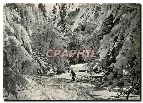 Cartes postales moderne Arrivee au Lienz