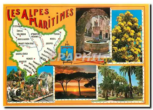 Cartes postales moderne Les departement francais Les Alpes Maritimes