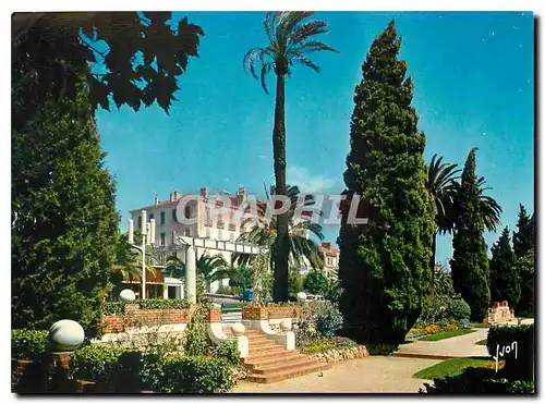 Cartes postales moderne Couleurs et Lumiere de France La Cote d'Azur miracle de la nature Hyeres (Var) Jardin du Musee M