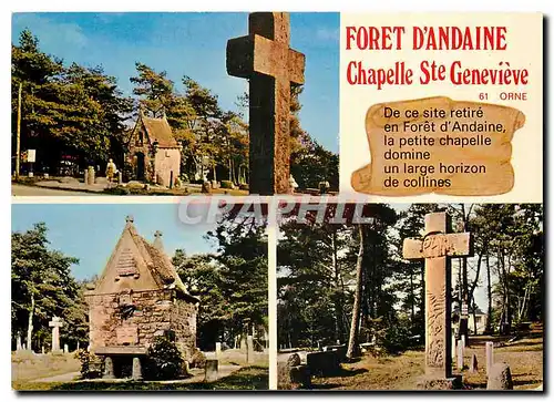 Cartes postales moderne Foret d'Andaine (Orne) La Chapelle Ste Genevieve