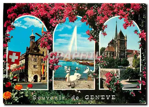 Cartes postales moderne Place d� Molard le jet d'eau (130 m) et les cygnes Cathedrale St Piere