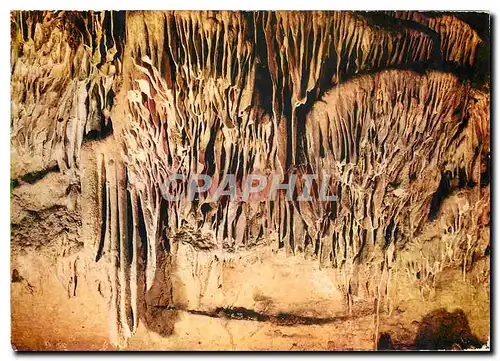 Cartes postales moderne Les Grottes d'Arcy sur Cure (Yinne) Les Draperies