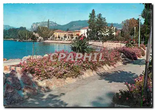 Cartes postales moderne Lac de Garda Bardolino Route du Rivage