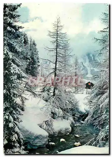 Cartes postales moderne Symphonie en Blanc