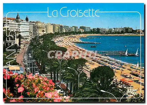 Cartes postales moderne La Cote d'Azur Cannes La Croisette