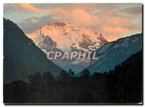 Cartes postales moderne Interlaken mit Jungfrau (4166 m 12667 ft)