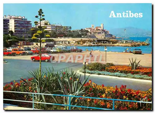 Cartes postales moderne Couleurs et Lumiere de France La Cote d'Azur miracle de la nature Antibes (A Mmes) L'Ilette et l