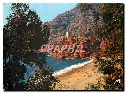 Cartes postales moderne Couleurs et Lumiere de France La Corse Casis de Beaute Porpo (Corse) La plage et la tour Genoise
