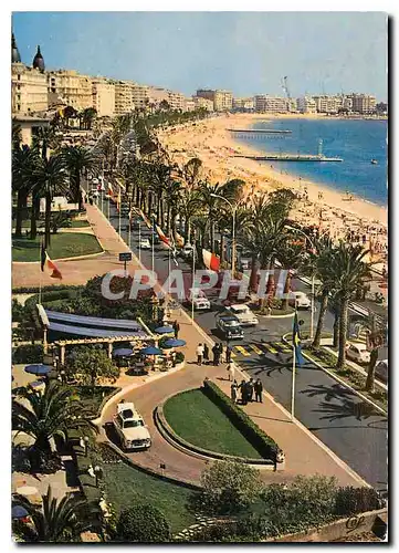 Cartes postales moderne Cannes la Croisette