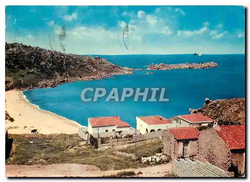 Cartes postales moderne Sardegna Pittoresca S Teresa Galluira