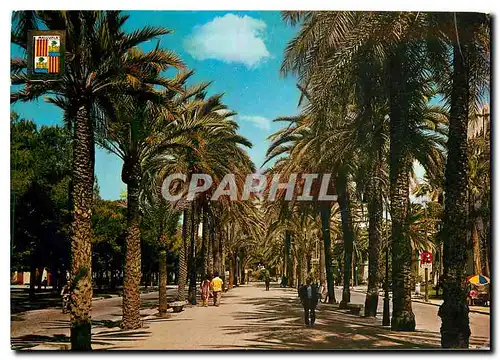 Cartes postales moderne Mallorca Palma