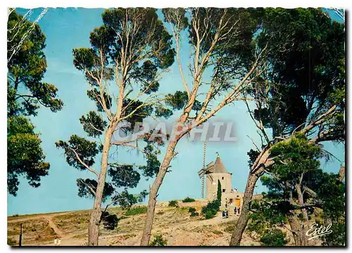 Cartes postales moderne Fontvieille le Moulin de Daudet