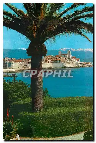 Cartes postales moderne Cote d'Azur Antibes la Cieille Ville au fond les alpes neigeuses