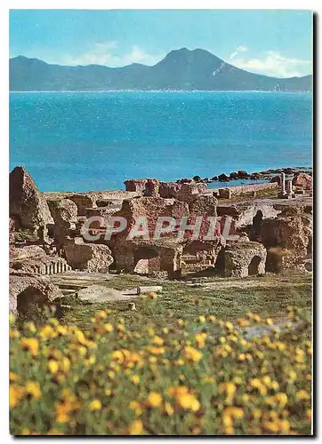 Cartes postales moderne Carthage Therme d'Antonin