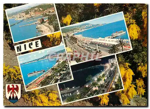 Cartes postales moderne Souvenir de Nice