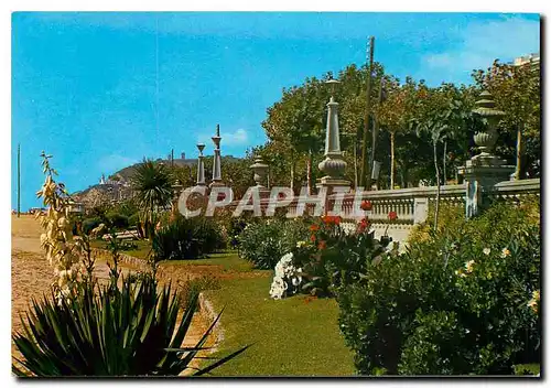 Cartes postales moderne Calella Jardins sur la plage